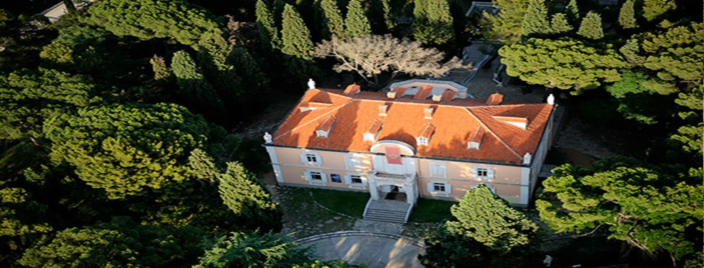 Image for Petrovic Palace
